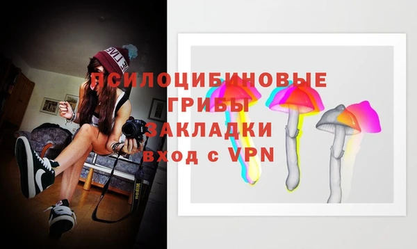 тгк Алексин