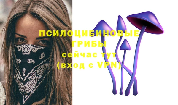спайс Нягань