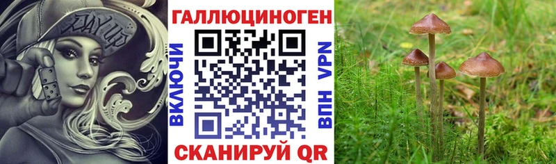 Псилоцибиновые грибы мухоморы  Калач 